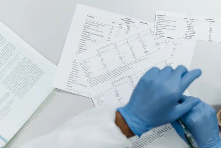 Marek Health vs. Mito Health: Compare Pricing and Value