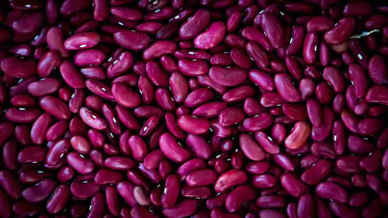 foods to improve kidney function