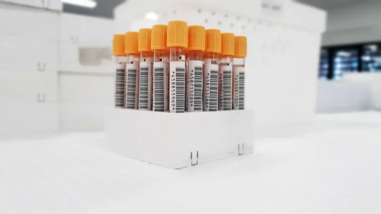 How Peptides May Support Metabolic Health
