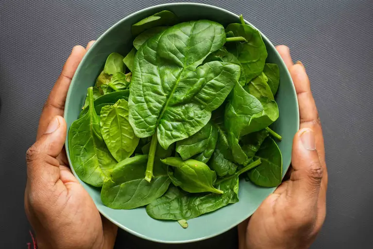 Hands holding fresh spinach leaves, illustrating vitamin K2’s crucial role in directing calcium to bones and teeth—especially when paired with vitamin D3 (cholecalciferol) for optimal health.